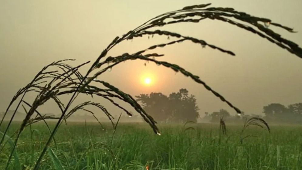 হ্রাস পেতে পারে দিনের তাপমাত্রা, জানাল অধিদপ্তর