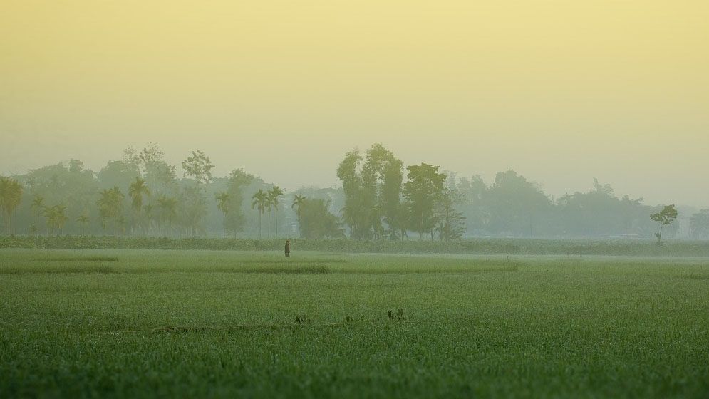 শীত নিয়ে নতুন বার্তা দিল আবহাওয়া অফিস