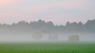 ডিসেম্বরে ঢাকায় জেঁকে বসতে পারে শীত